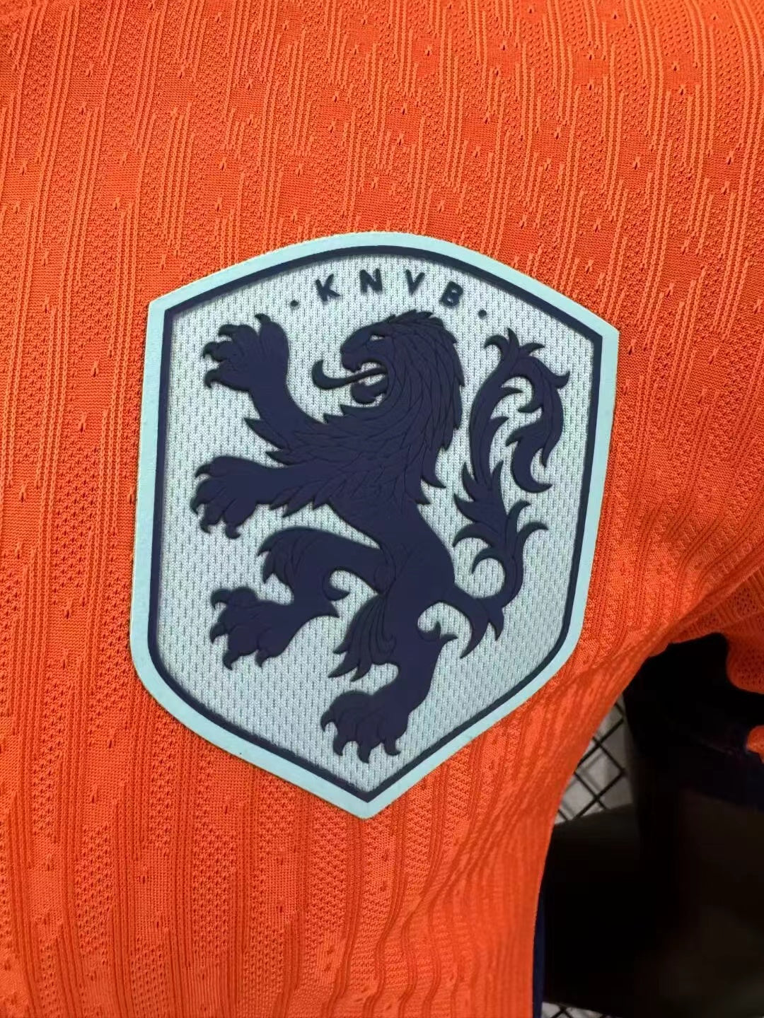 Nederland thuis 2024-2025