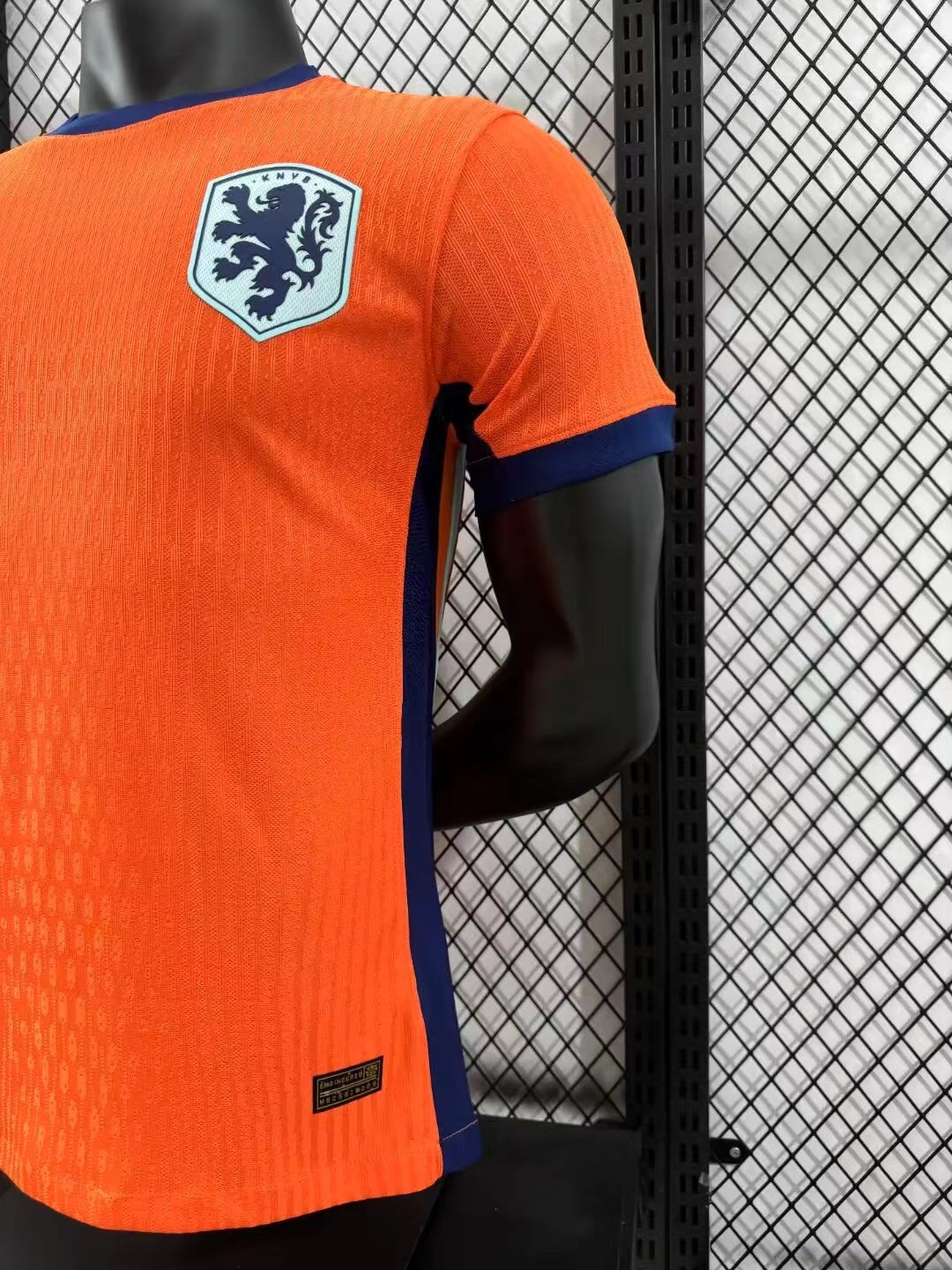 Nederland thuis 2024-2025