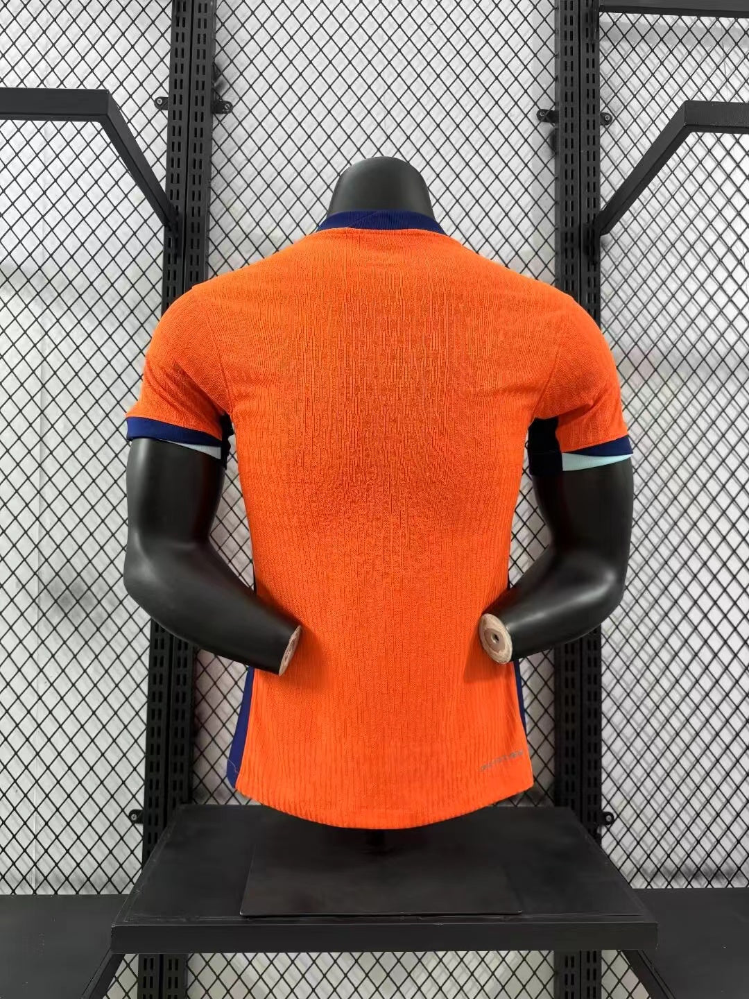 Nederland thuis 2024-2025