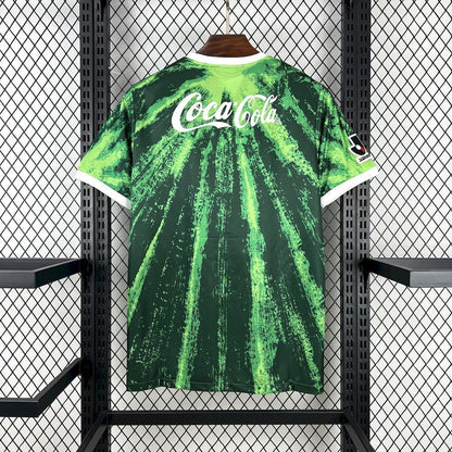 FC Verdy Kawasaki