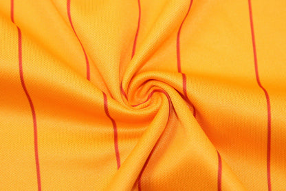 Holland home 1984